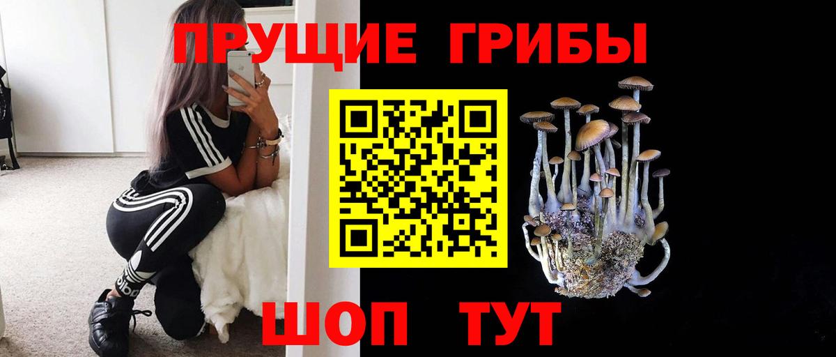 Псилоцибиновые грибы Psilocybe Лесной